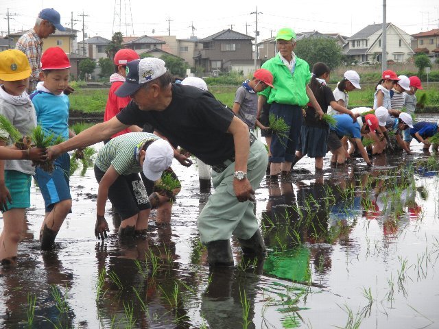 20190529taue031.JPG