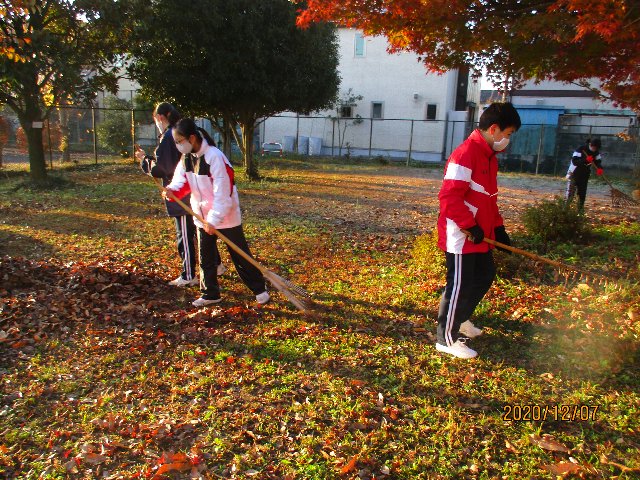 20201207satoyama016.JPG