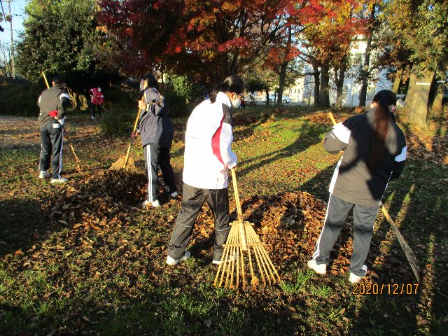 20201207satoyama021.JPG