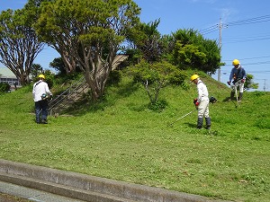 R6�Ėk���ۑS��5���P