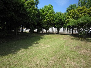 R6�Ėk���ۑS��5���R