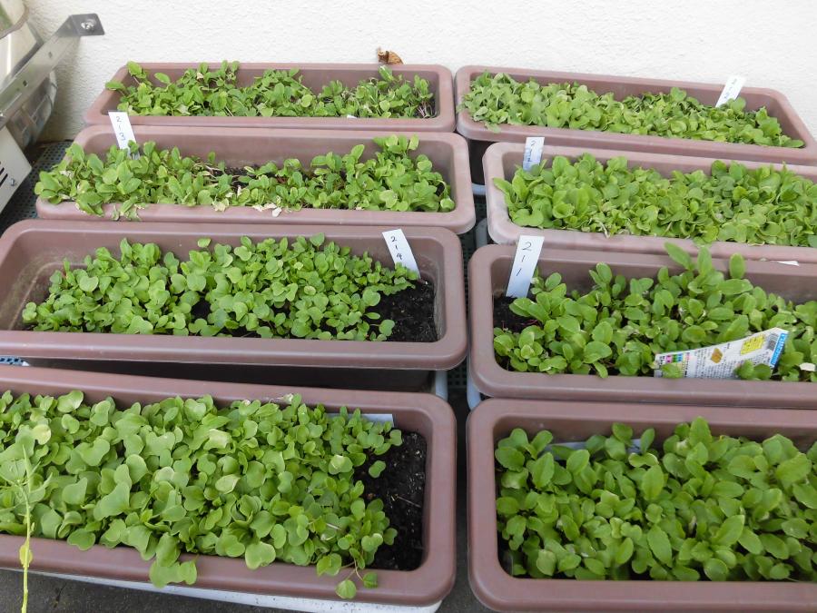 �͂���������