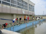 R70604pool8.jpg