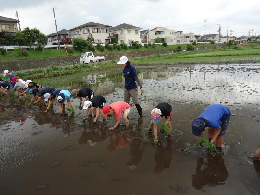 0531taue4.JPG